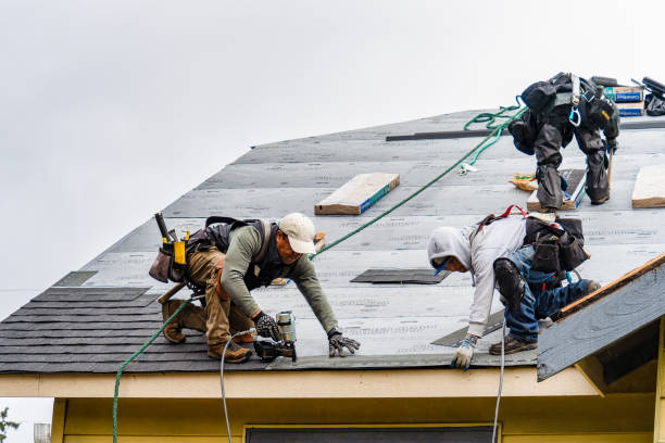 Professional Storm Damage Roof Repair technician working in West Park, CA